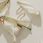 muse 04 gold earrings miniaturka 3