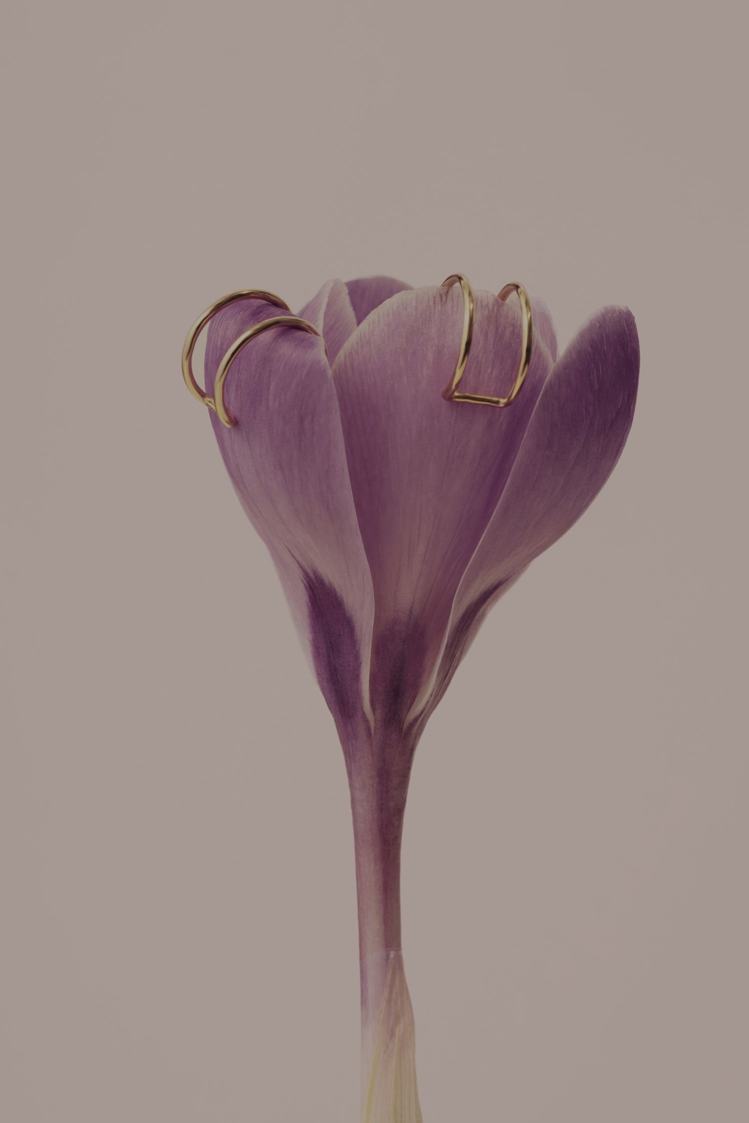 kolczyki muse 08 gold dodatkowe zdjęcie 3